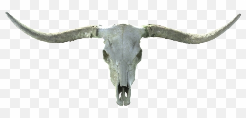 3d Products Hard Form Design - Texas Longhorn Png,3d Skull Png