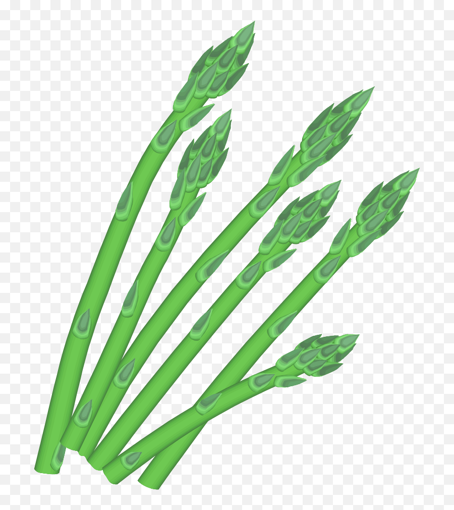 Asparagus Png Clip Art - Asparagus Clipart Png,Asparagus Png