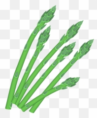 Asparagus Png Clip Art - Asparagus Clipart Png,Asparagus Png