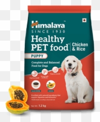 Healthy Pet Food - Puppy Himalaya Healthy Pet Food Png,Puppy Png