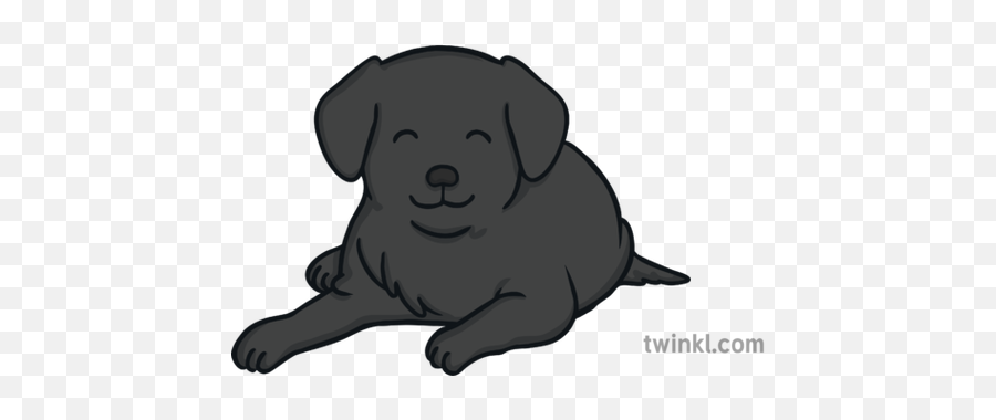 Laying Down Sitting Cooper The Dog Black Labrador Parents - Big Png,Black Lab Png