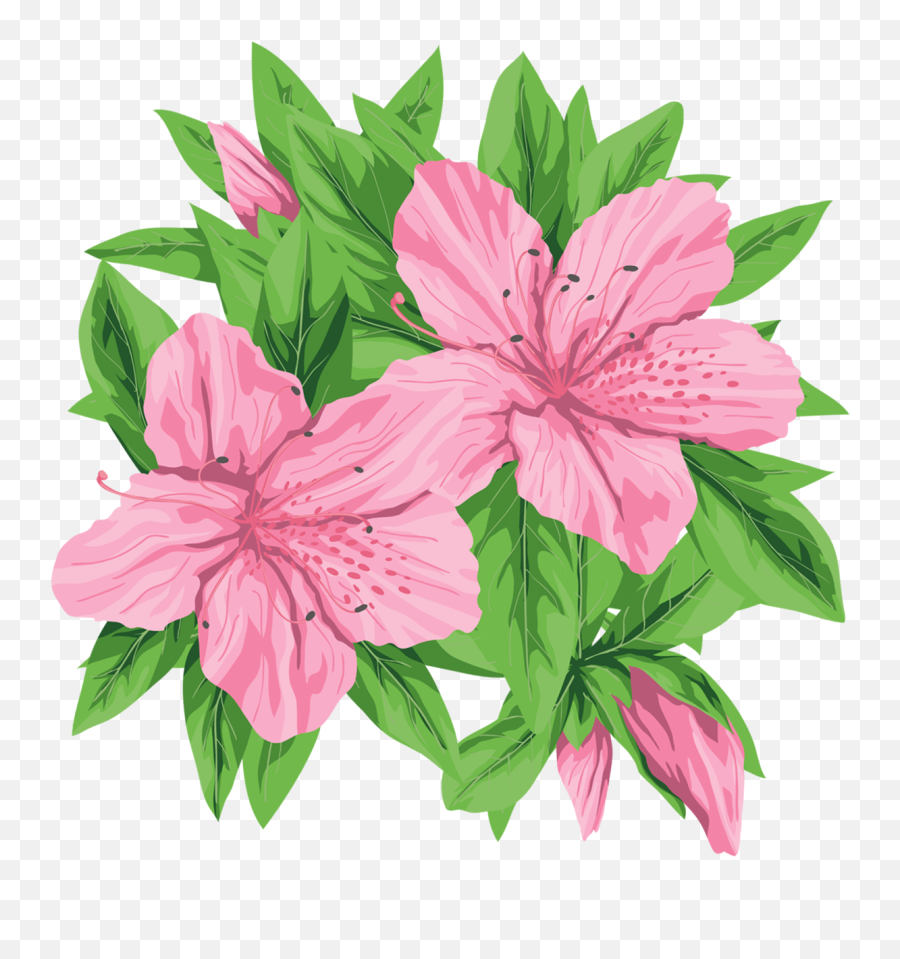 Pink Flowers Png Clip - Pink And Green Flower Clipart,Green Flowers Png