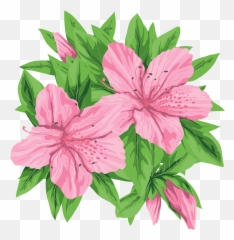 Pink Flower Cartoon png download - 2400*2400 - Free Transparent