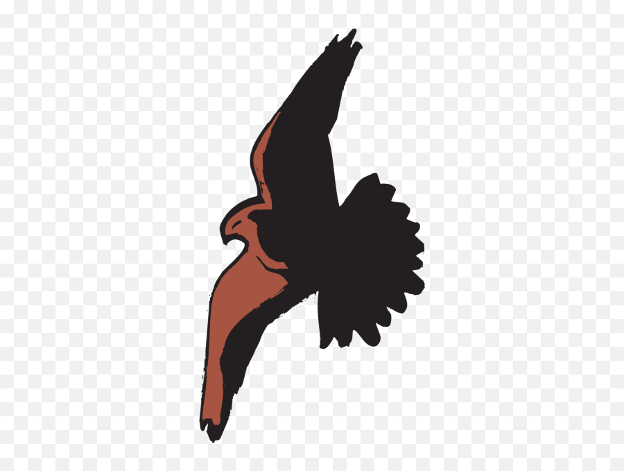 Hawk Flying With Shadow Png Svg Clip Art For Web - Download Transparent Hawk Shadow,Hawk Png