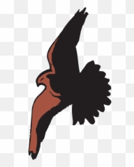 Hawk Flying With Shadow Png Svg Clip Art For Web - Download Transparent Hawk Shadow,Hawk Png