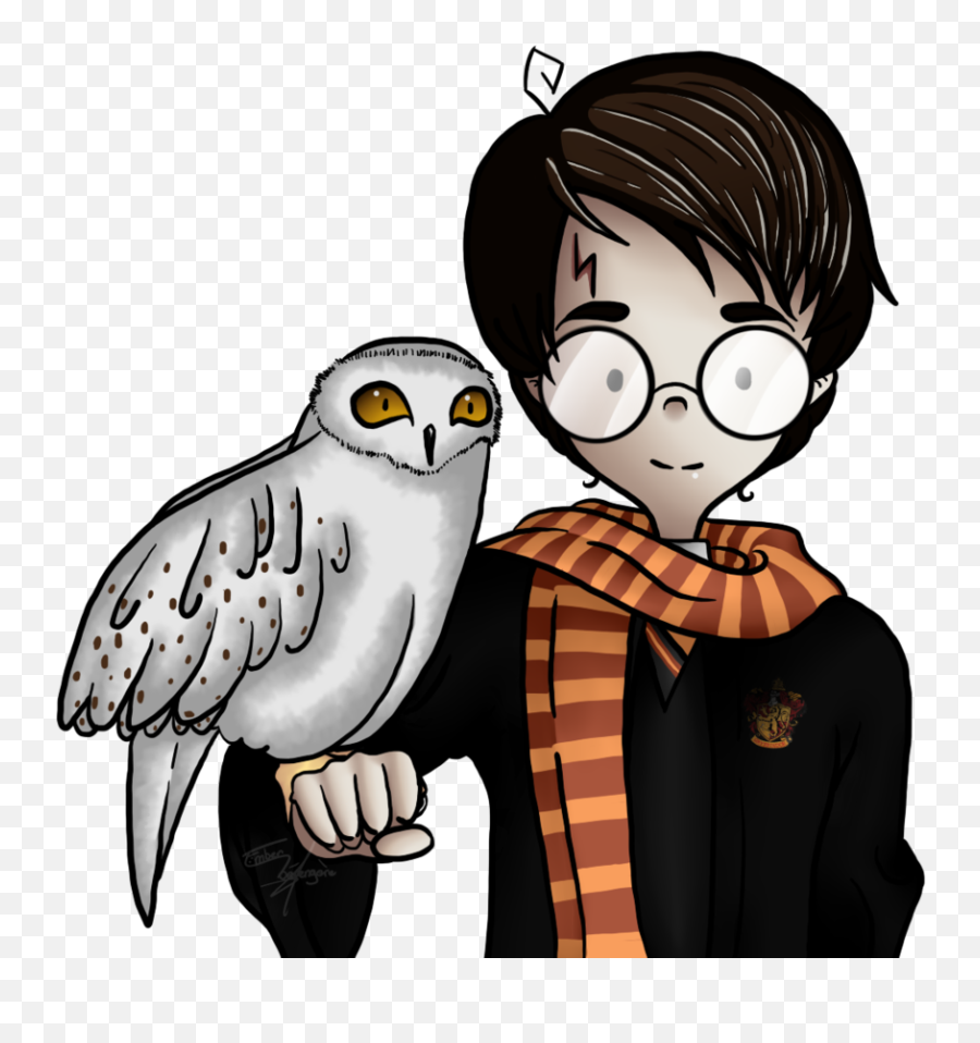 Collection Of Free Hedwig Drawing Creature Magical - Cartoon Harry Potter And Owl Drawing Png,Hedwig Png