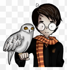Collection Of Free Hedwig Drawing Creature Magical - Cartoon Harry Potter And Owl Drawing Png,Hedwig Png