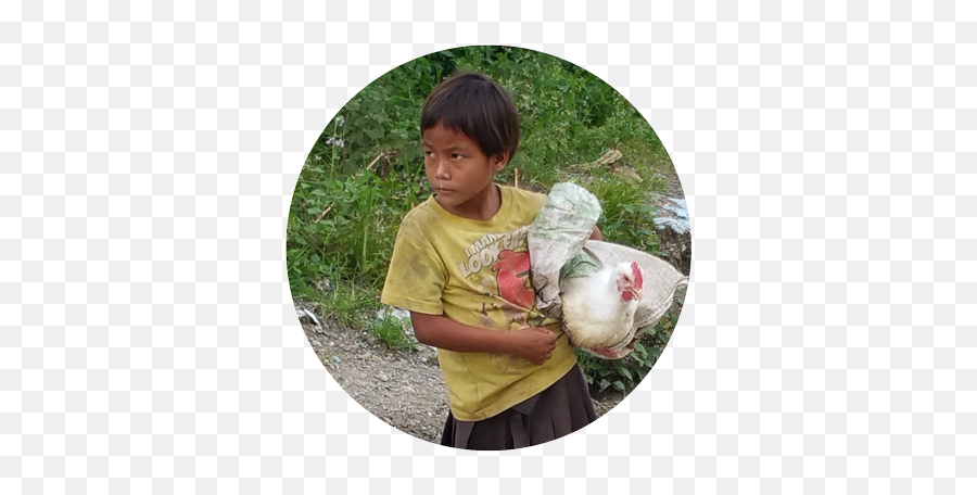 Finance Nepali Children - Boy Png,Gnome Child Png