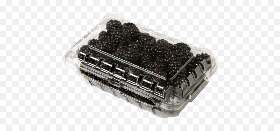 Dillons Food Stores - Blackberries 12 Oz Blackberry Png,Blackberries Png
