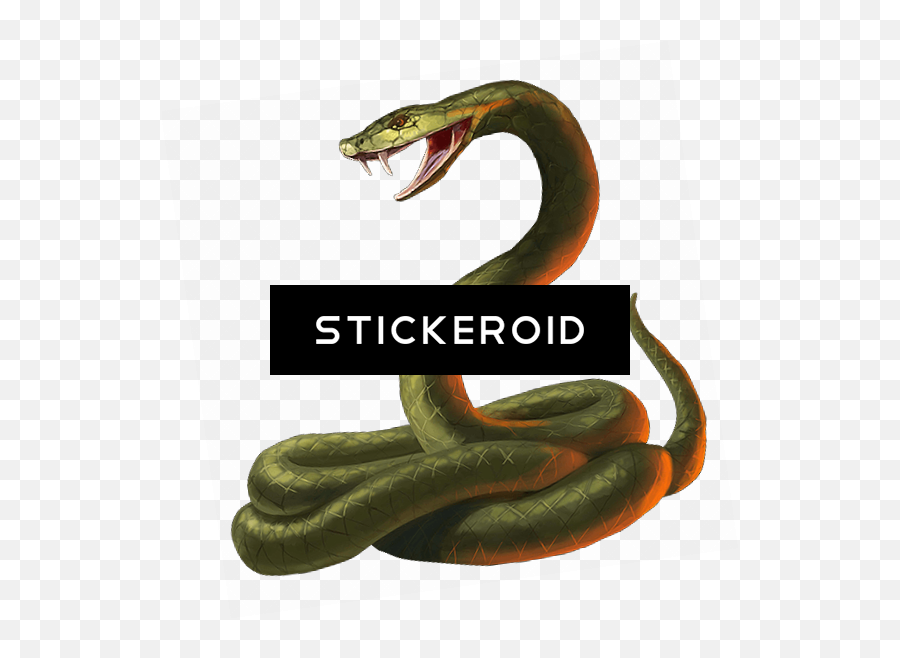 Download Cobra Snake Head Png Image - Portable Network Graphics,Snake Head Png