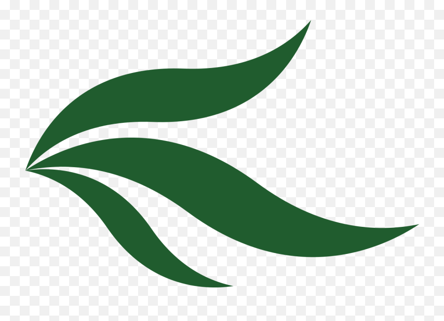Wikimania2019 Leaves Icon - Icon Leaf Logo Png,Leaf Icon Png