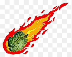Berkaslempar Durianpng - Wikipedia Bahasa Indonesia Buah Durian,Durian Png
