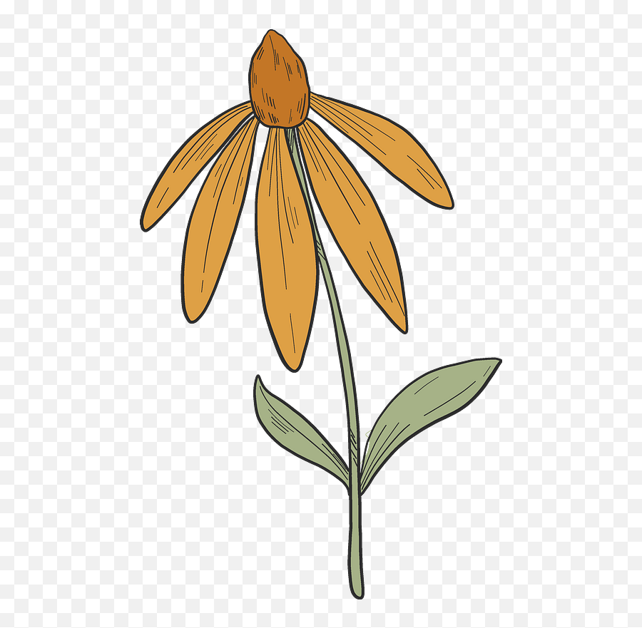 Wildflower Clipart Free Download Transparent Png Creazilla - Lovely,Wildflowers Png
