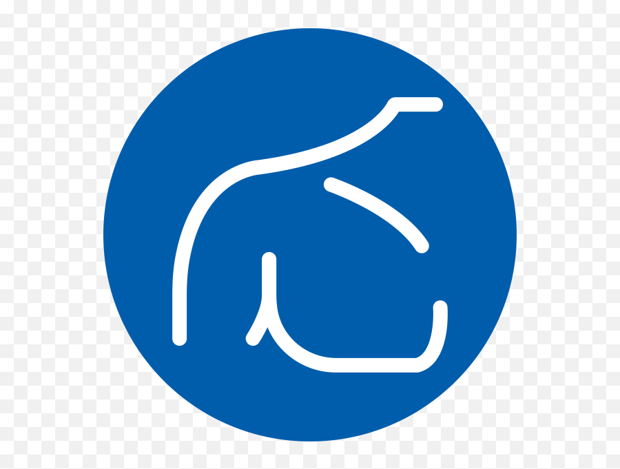 Shop For Stroke Rehab Products Saebo Inc - Language Png,Product Selection Icon