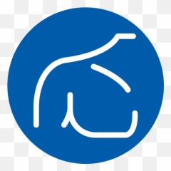 Shop For Stroke Rehab Products Saebo Inc - Language png