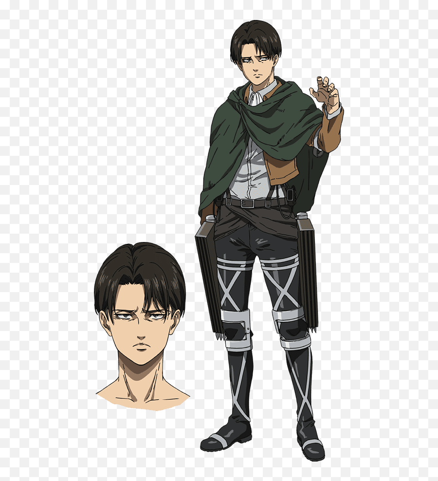 Attack - Old Is Levi In Season 4 Png,Aot Icon