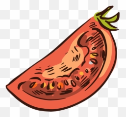 Sliced Tomato Illustration - Transparent PNG u0026 SVG vector file Tomato Vector Png