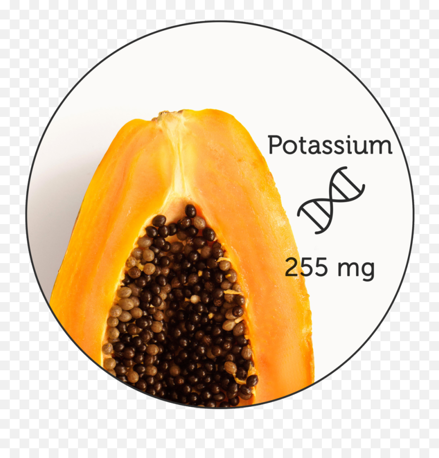 Nutritional Science Icon - Papaya Juice Png,Papaya Icon