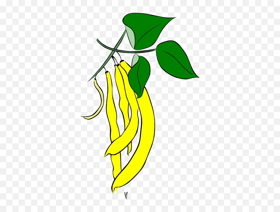 Free Green Bean Png Download Clip Art - Yellow String Beans Clip Art,Green Beans Png