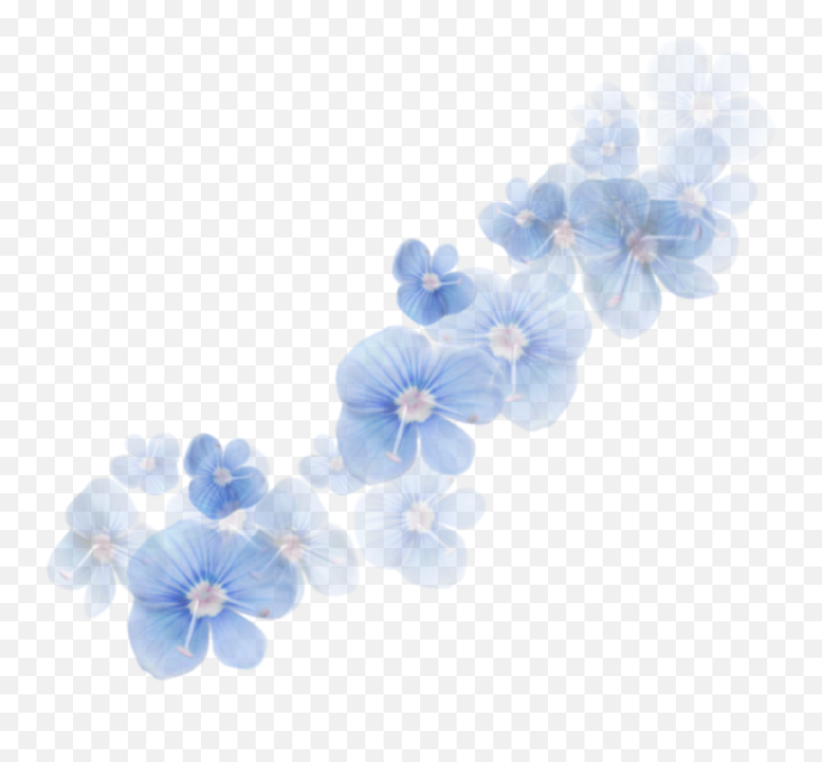 Ftestickers Overlay Flowers Transparent - Transparent Blue Flower ...