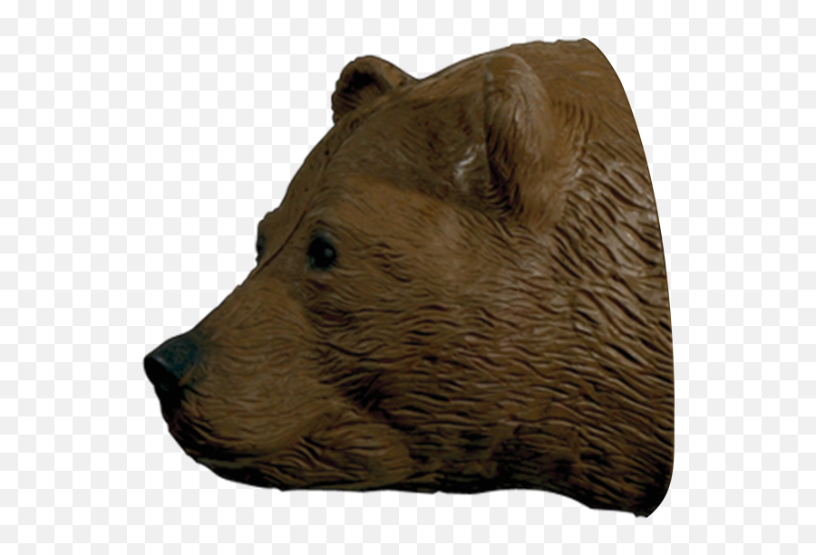 Walking Brown Bear Replacement Head - Archery Targets Png,Bear Head Png