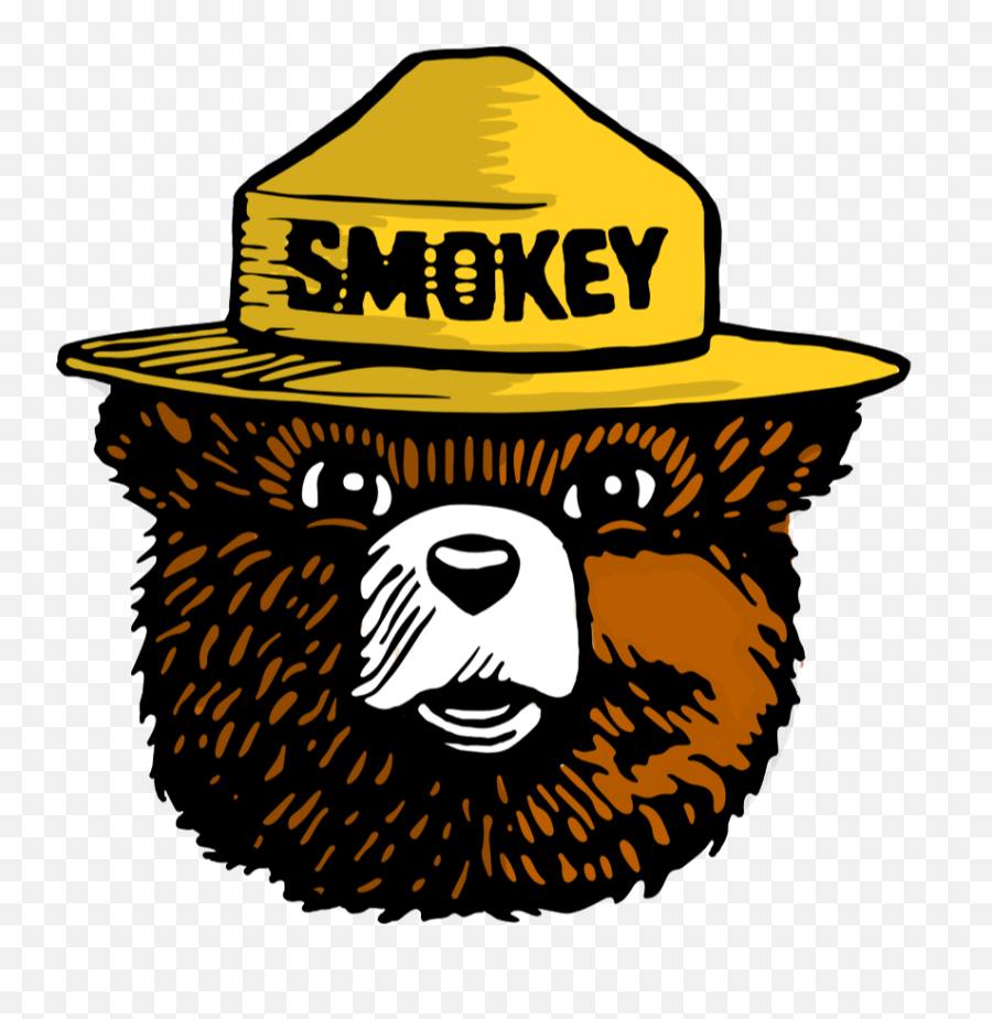 Mfc Kids Connection - Mississippi Forestry Commission Smokey Bear Png,Mfc Icon