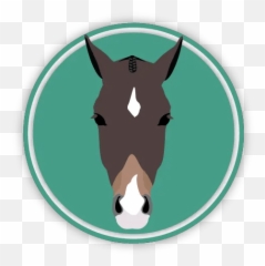 Face Markings Quiz - Allpony Mustang png