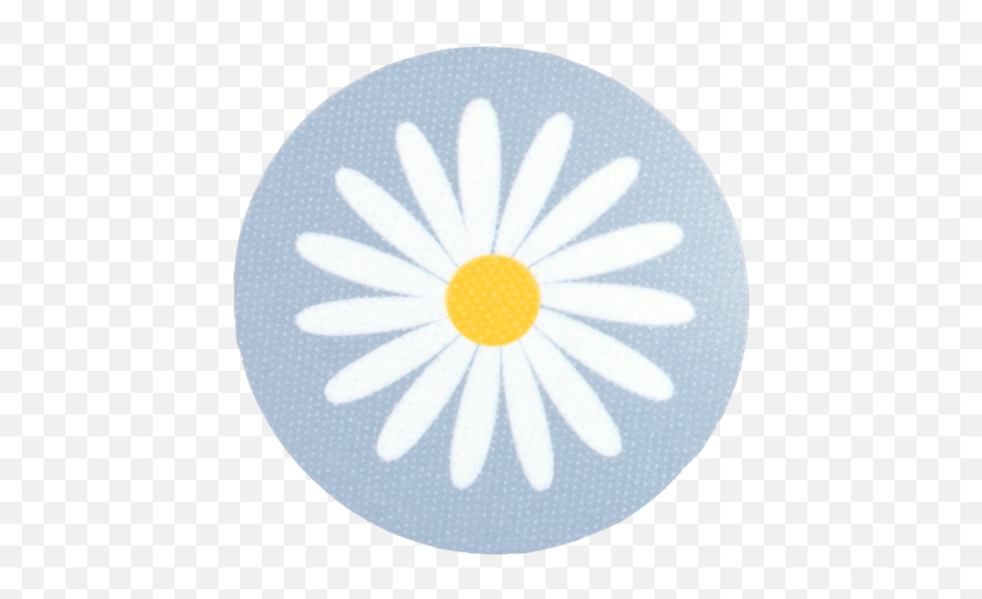 Hilda - Coaster Daisy Lightblue Lovely Png,Flower Icon For Twitter