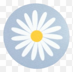 Hilda - Coaster Daisy Lightblue Lovely png