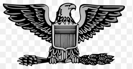 Us Army Officer Ranks Of Wwii - Colonel Png