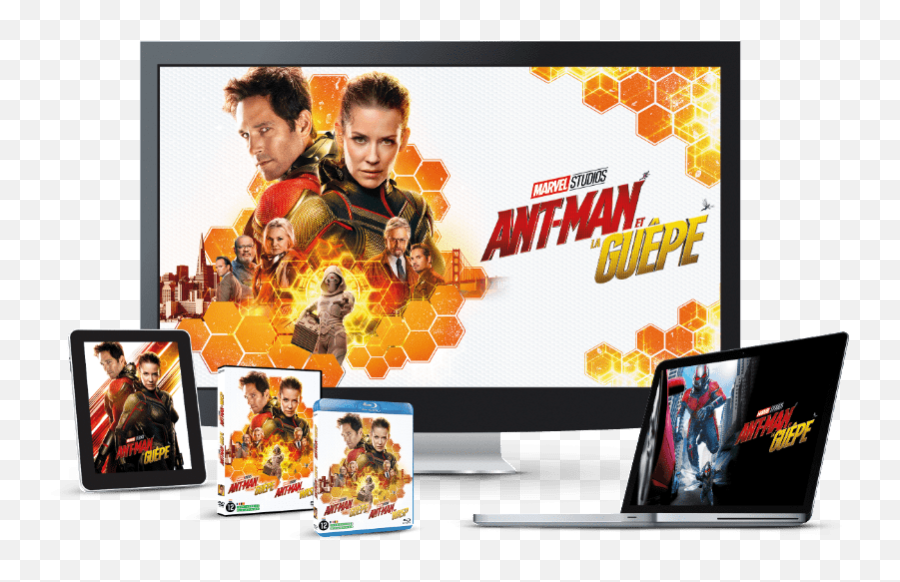 Ant Man Et La Guepe Logo Png Image - Ant Man Et La Guêpe Dvd Blu Ray,Antman Png