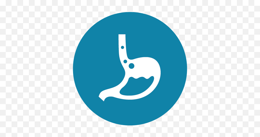 Best Surgical Gastroenterology Hospital In India Narayana Png Icon