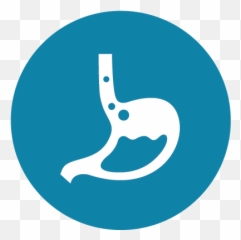 Best Surgical Gastroenterology Hospital In India Narayana Png