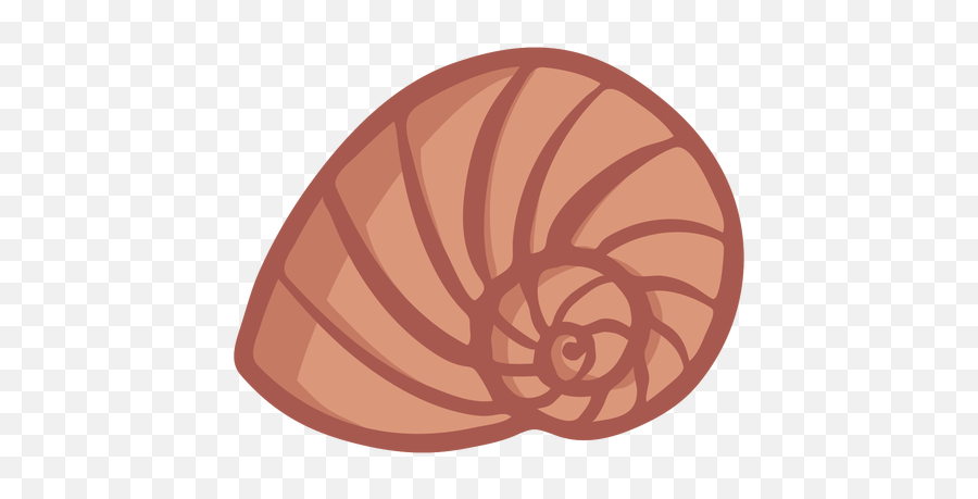 Transparent Png Svg Vector File - Conchas Do Mar Desenho Png,Concha Png