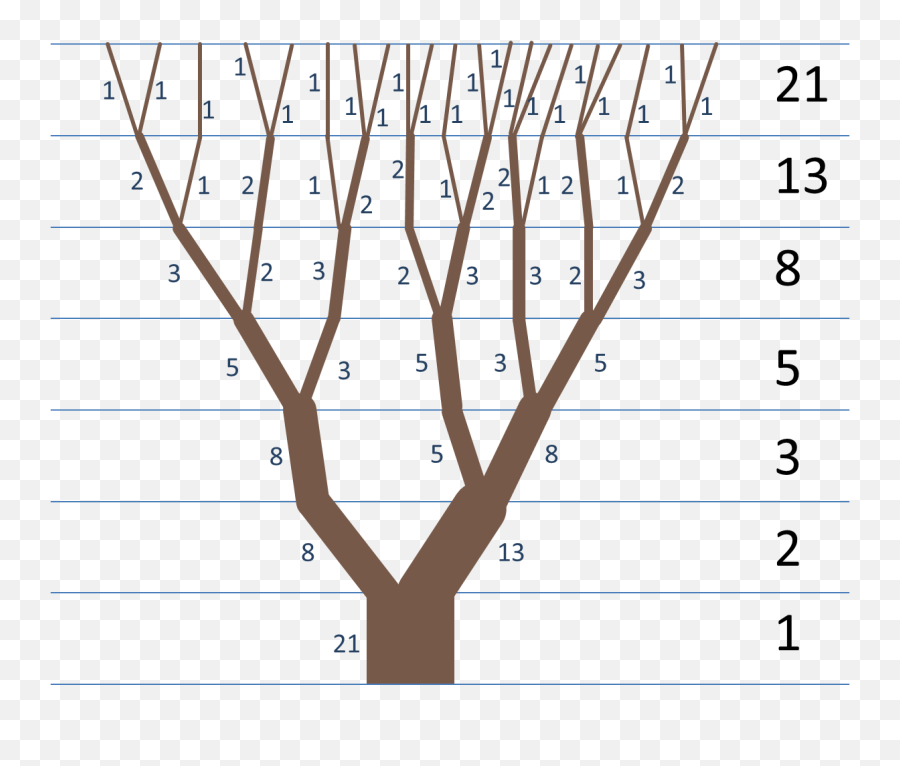 Properties - Golden Ratio In Trees Png,Fibonacci Spiral Png