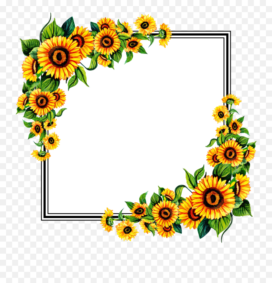 Download Free Png Floral Frame - Transparent Background Sunflower Border Png,Flower Frame Png