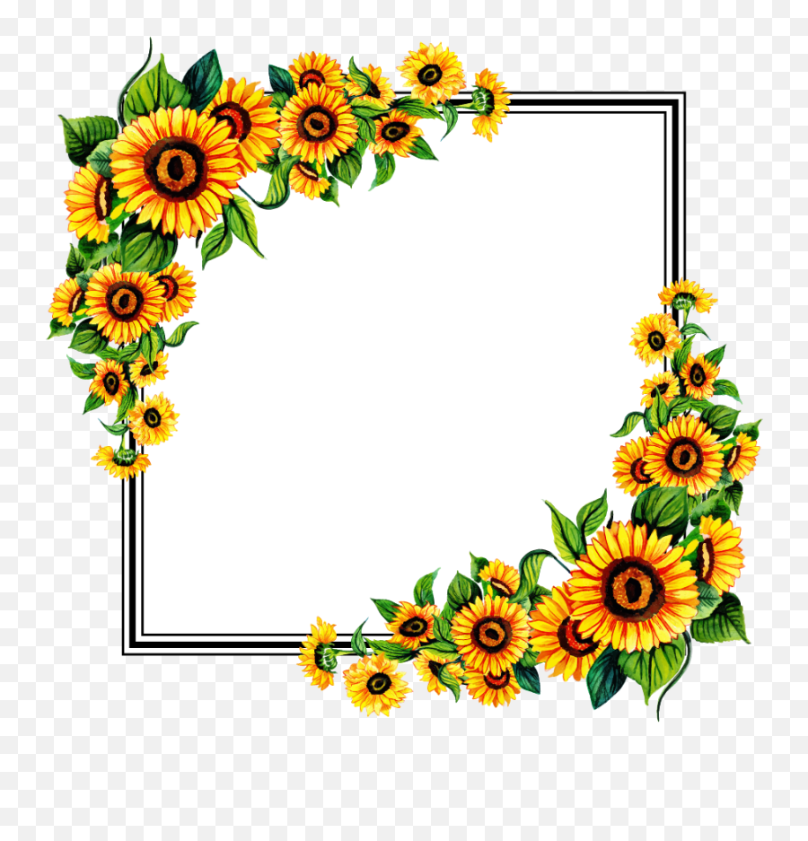 Free Free 197 Clipart Transparent Sunflower Border Png SVG PNG EPS DXF File