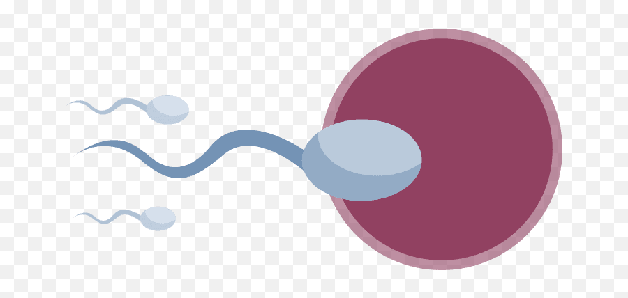 Yorkshire Smokefree - Male Sperm Png,Sperm Png
