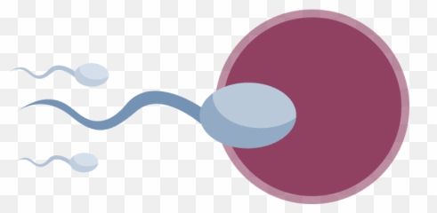 Yorkshire Smokefree - Male Sperm Png