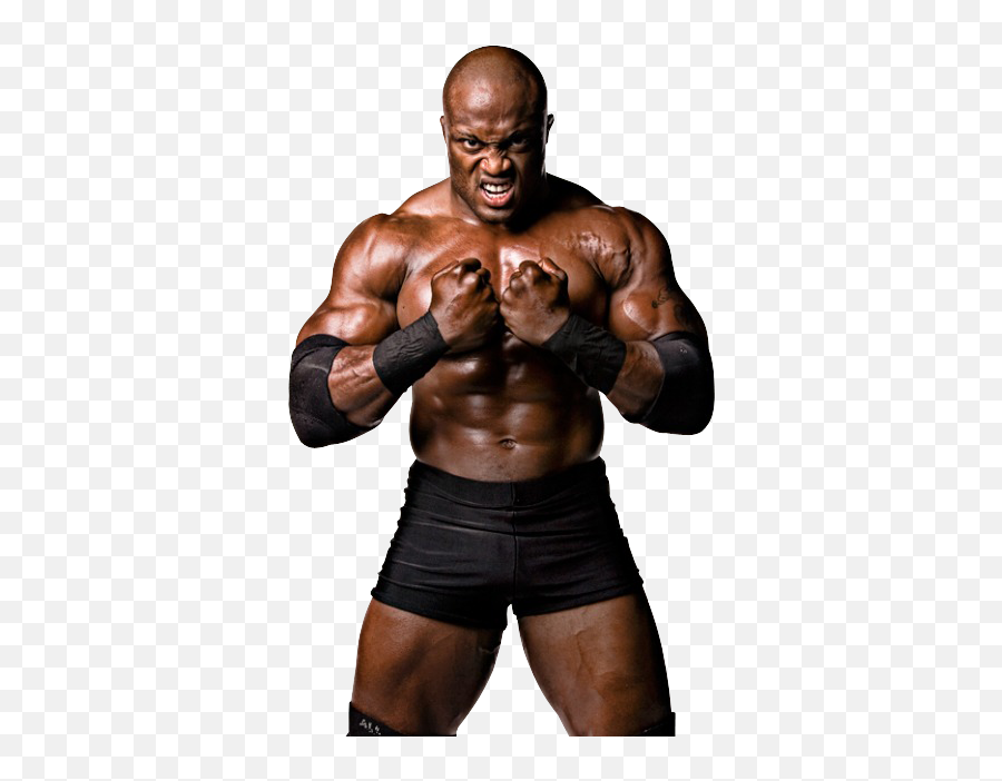 Who Would Win A Fight Between Brock Lesnar And Bobby Lashley - Cm Punk Bobby Lashley Png,Brock Lesnar Transparent