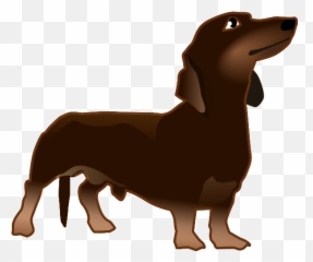 Download Dog Clipart Pupy - Dark Brown Transparent Background Dachshund png