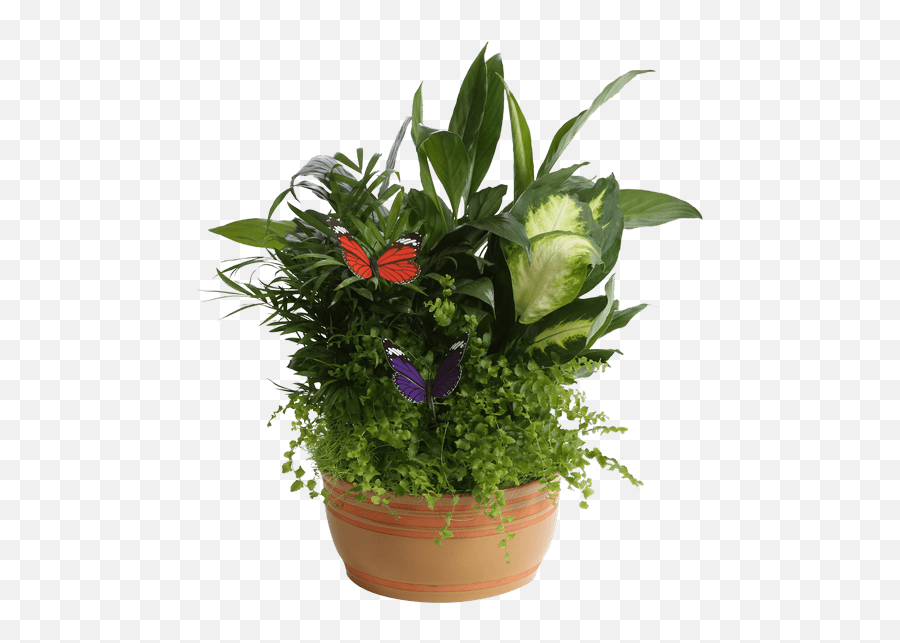 Download Horizon Planter 8 Caramel - Flowerpot Png Image Houseplant,Flower Pot Png