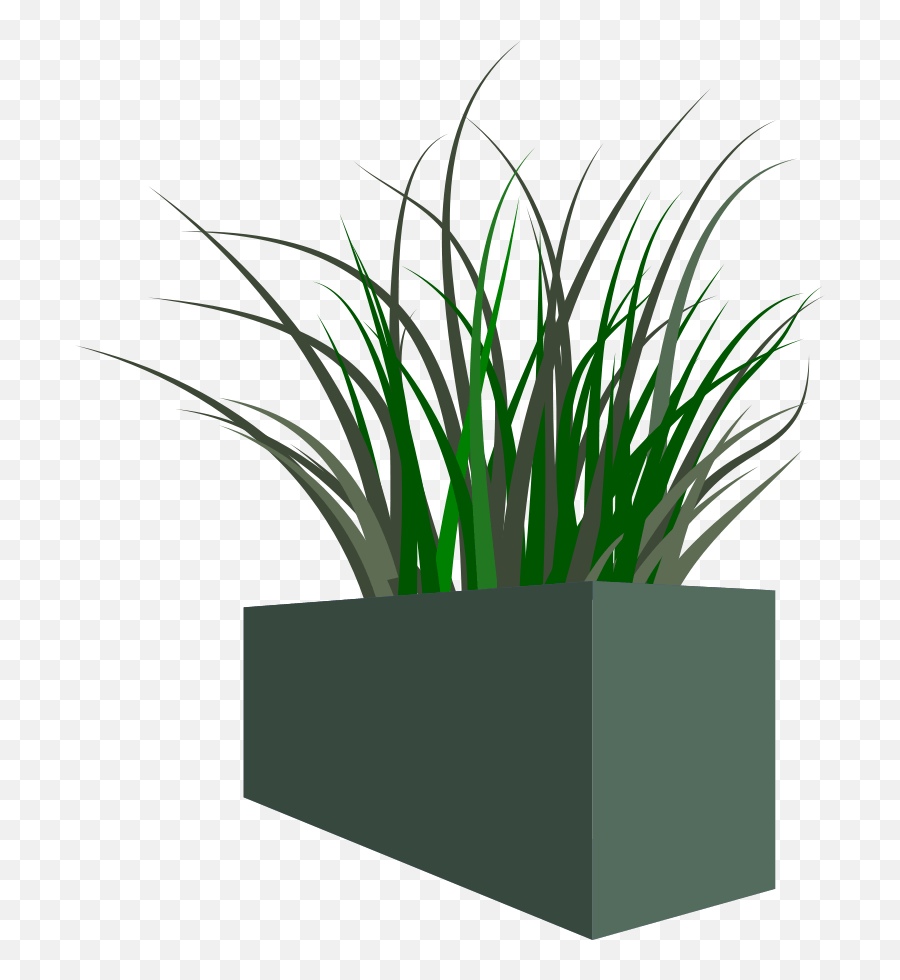 Download Vector - Reed Grass Plant Silhouetten Vectoren Transparent Background Plant Grass Png,Grass Vector Png