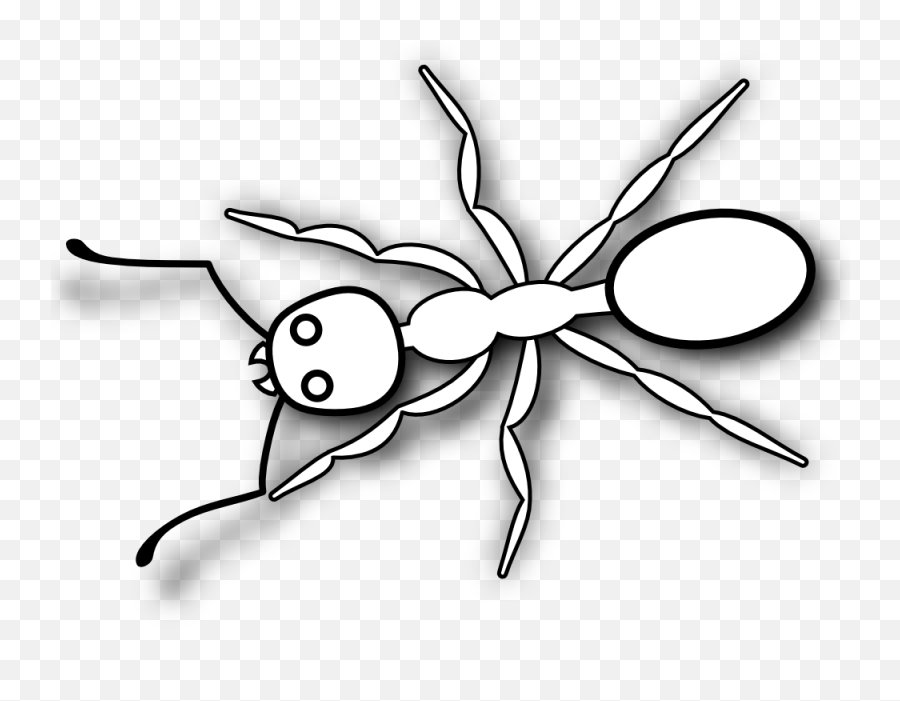 Ants Clipart Small Ant Transparent Free For - Printable Ant Clipart Black And White Png,Ants Png