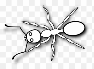Ants Clipart Small Ant Transparent Free For - Printable Ant Clipart Black And White Png,Ants Png
