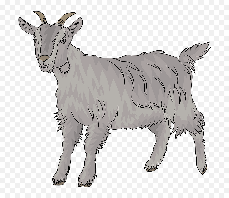 Goat Clipart Free Download Transparent Png Creazilla - Goat Creazilla,Goat Transparent