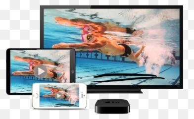 Swim Clinics U0026 Camps Online Courses Videos By Fitter - Freestyle Swimming png