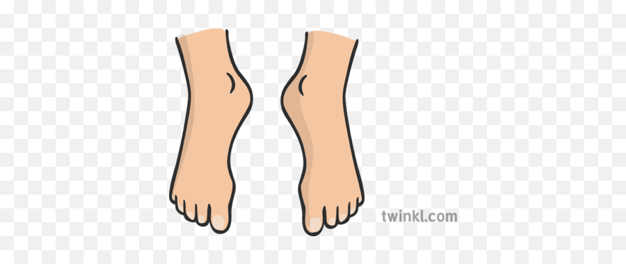 Feet Illustration - Twinkl Feet Illustration Png,Feet Png