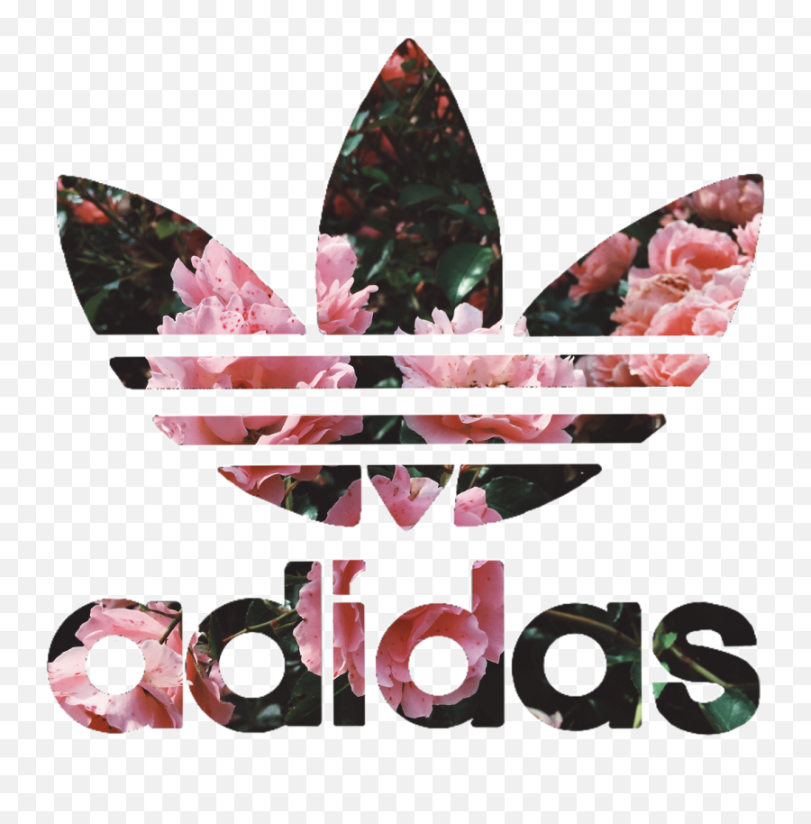 Adidas Png - Adidas Floral Collection Flower Adidas Adidas Logo With Flowers,Adidas Logos