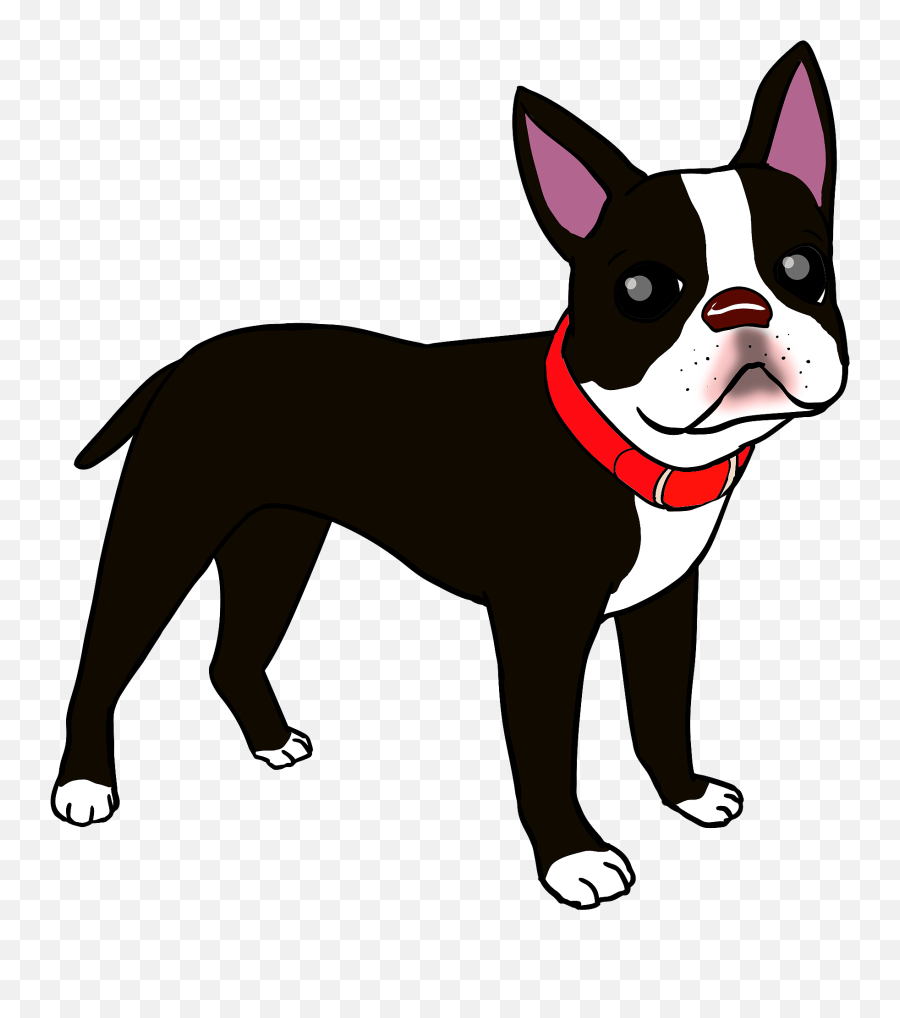 Boston Terrier Dog Clipart - Transparent Boston Terrier Clip Art Png,Boston Terrier Png